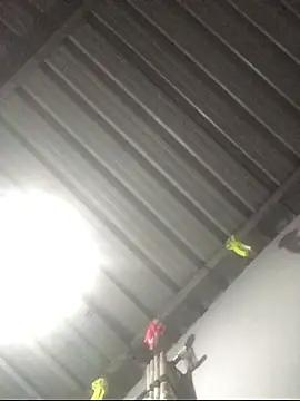 sexguruxxx online show from 01/11/26, 11:11