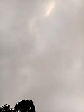 meomeo-00 online show from 01/11/26, 12:28