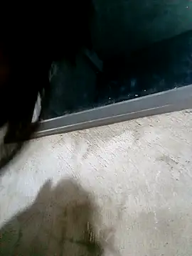 Snapshot of Ava-120 chatting on 02/17/26, 03:09 Ava-120 online show from 02/17/26, 03:09