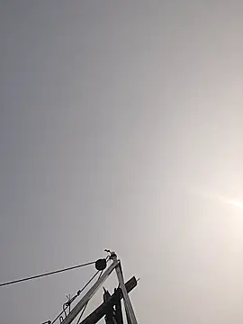 Cover-baa online show from 03/27/26, 07:39