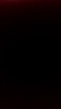 LeillaaX online show from 03/01/26, 07:41