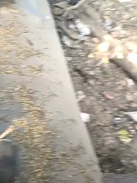 Playboy pune  online show from 11/26/25, 09:09