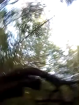 juunioreest online show from 01/10/26, 10:49