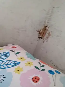 Snapshot of braidqueen00 chatting on 12/20/25, 05:27 braidqueen00 online show from 12/20/25, 05:27