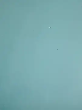 Snapshot of braidqueen00 chatting on 02/19/26, 07:55 braidqueen00 online show from 02/19/26, 07:55