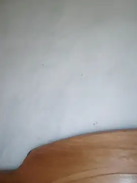 Snapshot of braidqueen00 chatting on 02/26/26, 02:11 braidqueen00 online show from 02/26/26, 02:11