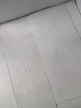 Snapshot of braidqueen00 chatting on 04/02/26, 06:25 braidqueen00 online show from 04/02/26, 06:25