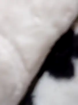 fati35flou online show from 12/21/25, 06:42