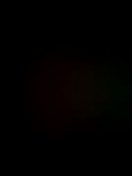 exxotisch online show from 11/17/25, 11:09