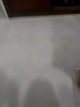 Zaginer online show from 11/20/25, 10:31