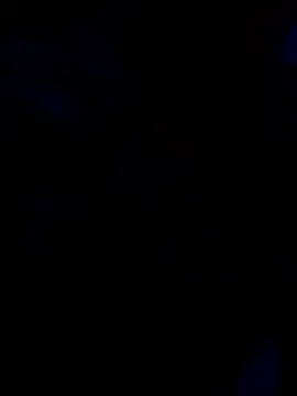 cutestpearl online show from 01/13/26, 04:44