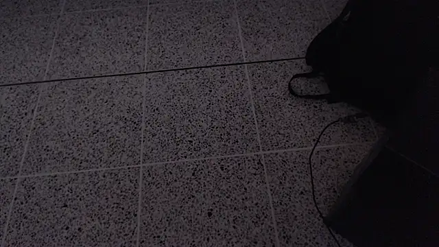 Dio  morningstar online show from 04/13/26, 12:20