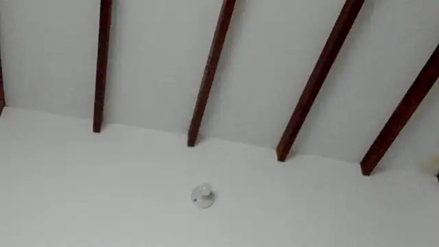 Dio  morningstar online show from 02/08/26, 09:34