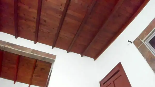 Jave rave online show from 03/31/26, 03:41