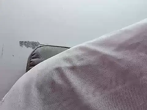 Binnky online show from 04/04/26, 02:29