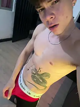 Handsome boys69 online show from 06/11/26, 02:33
