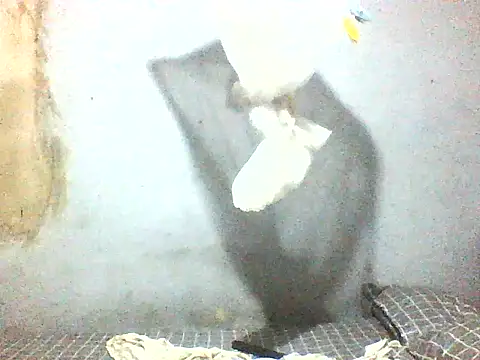 fuckdigg online show from 01/11/26, 01:45