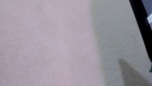 ebonycamelia online show from 11/22/25, 11:47