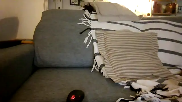 xxxluana online show from 12/03/25, 04:02