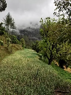 Cute Lucky online show from 04/08/26, 06:15