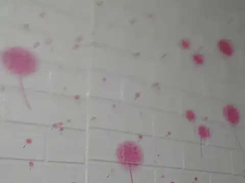 Kim mon online show from 11/29/25, 02:17