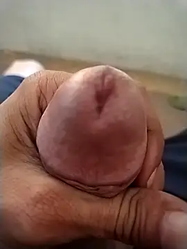 Snapshot of GDwrzsc2bfc chatting on 12/04/25, 09:41 GDwrzsc2bfc online show from 12/04/25, 09:41