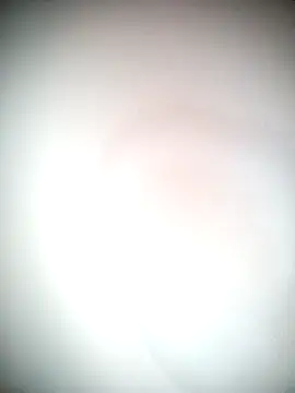 Ariana101 online show from 11/24/25, 12:05