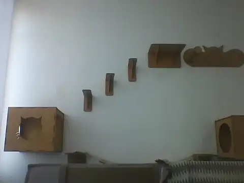 Temp7 online show from 03/06/26, 11:16