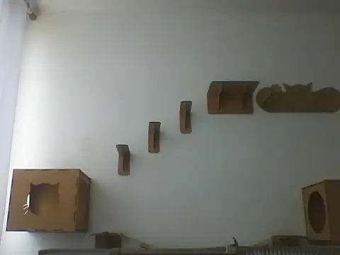 Temp7 online show from 03/05/26, 02:46