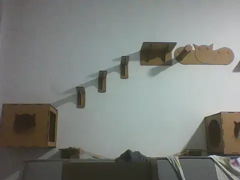 Temp7 online show from 02/25/26, 11:48