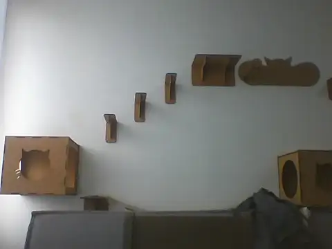 Temp7 online show from 02/22/26, 01:24