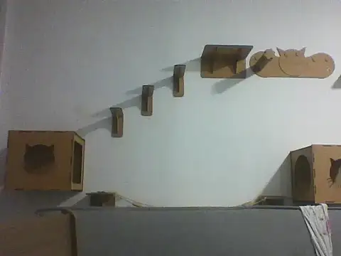 Temp7 online show from 02/23/26, 01:29