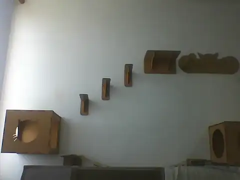 Temp7 online show from 03/07/26, 12:10