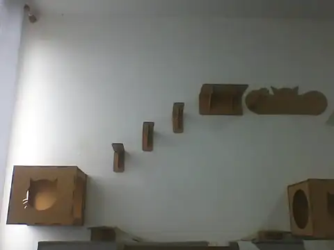 Temp7 online show from 02/23/26, 06:08