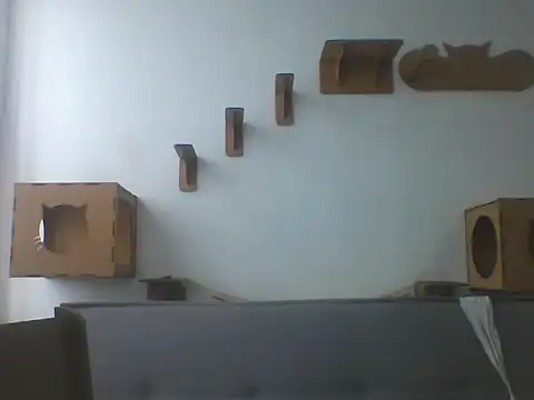 Temp7 online show from 02/21/26, 01:13