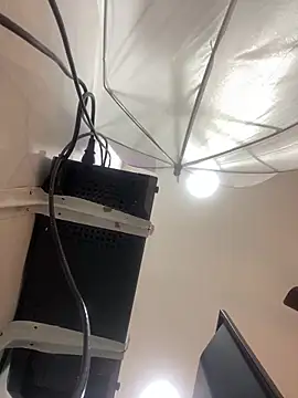 Aria Kitty online show from 11/30/25, 11:44