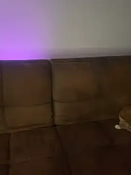 Snapshot of Little__Danni1 chatting on 02/14/26, 02:12 Little Danni1 online show from 02/14/26, 02:12