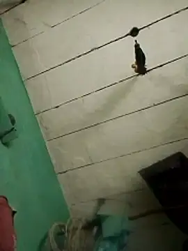 Xxx suhana online show from 02/07/26, 11:07