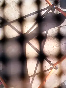 Eezxxx online show from 12/03/25, 07:30