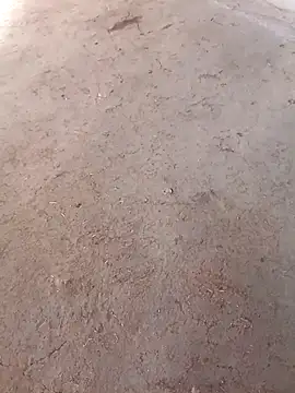 Nandani-758 online show from 12/02/25, 10:06