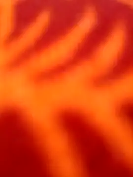 Nandani-758 online show from 04/08/26, 11:22