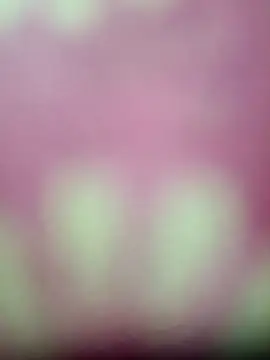 Nandani-758 online show from 01/17/26, 04:10