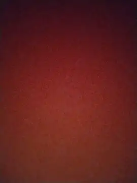 Poojadick online show from 12/20/25, 04:15