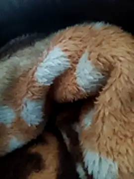 Hotboylumia 825321 online show from 12/20/25, 01:14