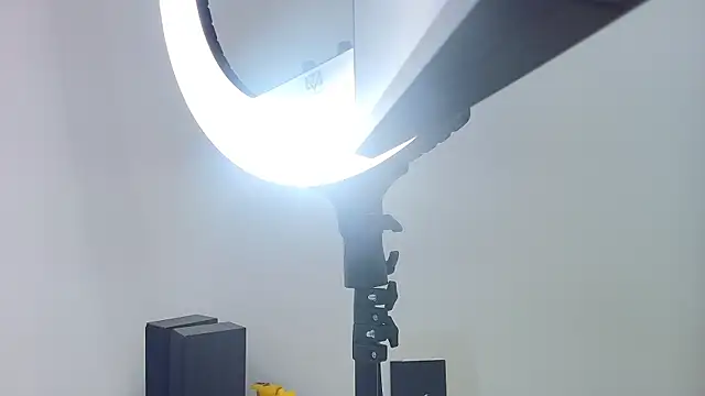 Snapshot of lili_jhonson chatting on 11/26/25, 11:54 lili jhonson online show from 11/26/25, 11:54