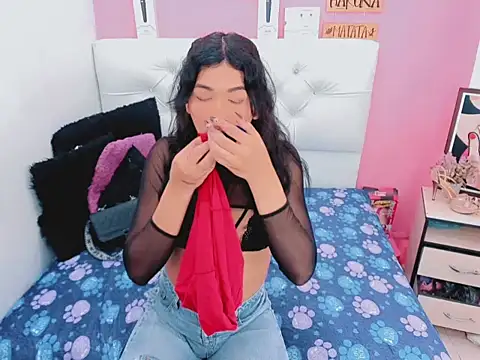 xwetdreamsx online show from 04/14/26, 08:03