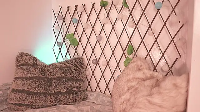 Mackenzie Lia online show from 11/28/25, 07:25