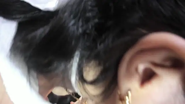 Haylenpark online show from 02/22/26, 11:56