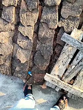 apka rockstarr online show from 12/17/25, 02:49