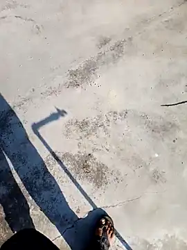 apka rockstarr online show from 12/05/25, 03:49